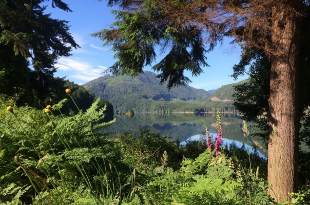 port_alice_scenery